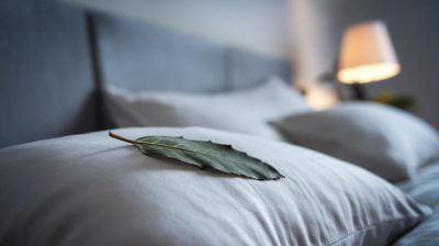 Les bienfaits méconnus d'une feuille de laurier pour un sommeil de qualité